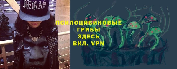 гашик Зерноград