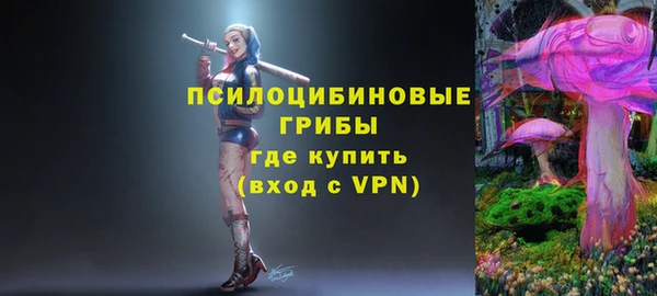 синтетический гашиш Зеленодольск