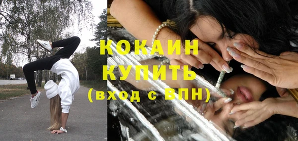 гашик Зерноград
