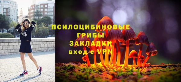 гашик Зерноград