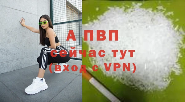 гашик Зерноград