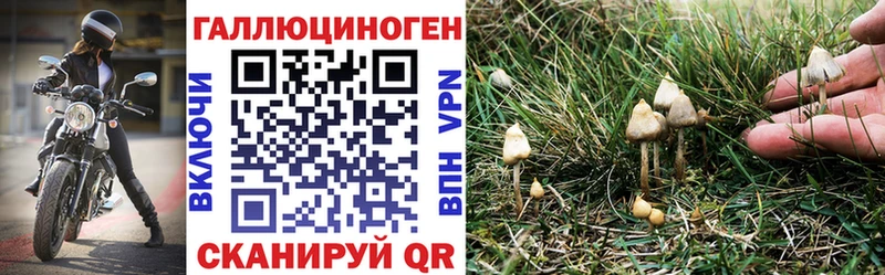 Галлюциногенные грибы GOLDEN TEACHER omg ссылки Чехов
