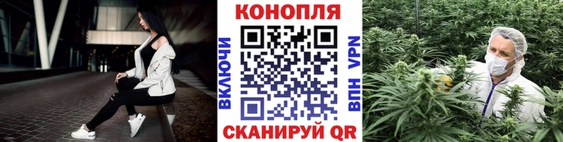 Конопля сатива  дарнет шоп  Чехов 